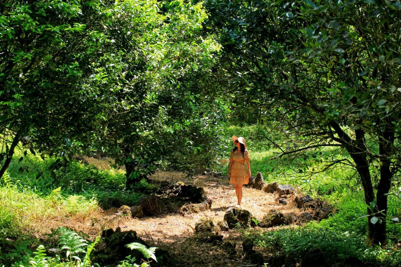 Natura Gardens Galapagos Bellavista  Buitenkant foto