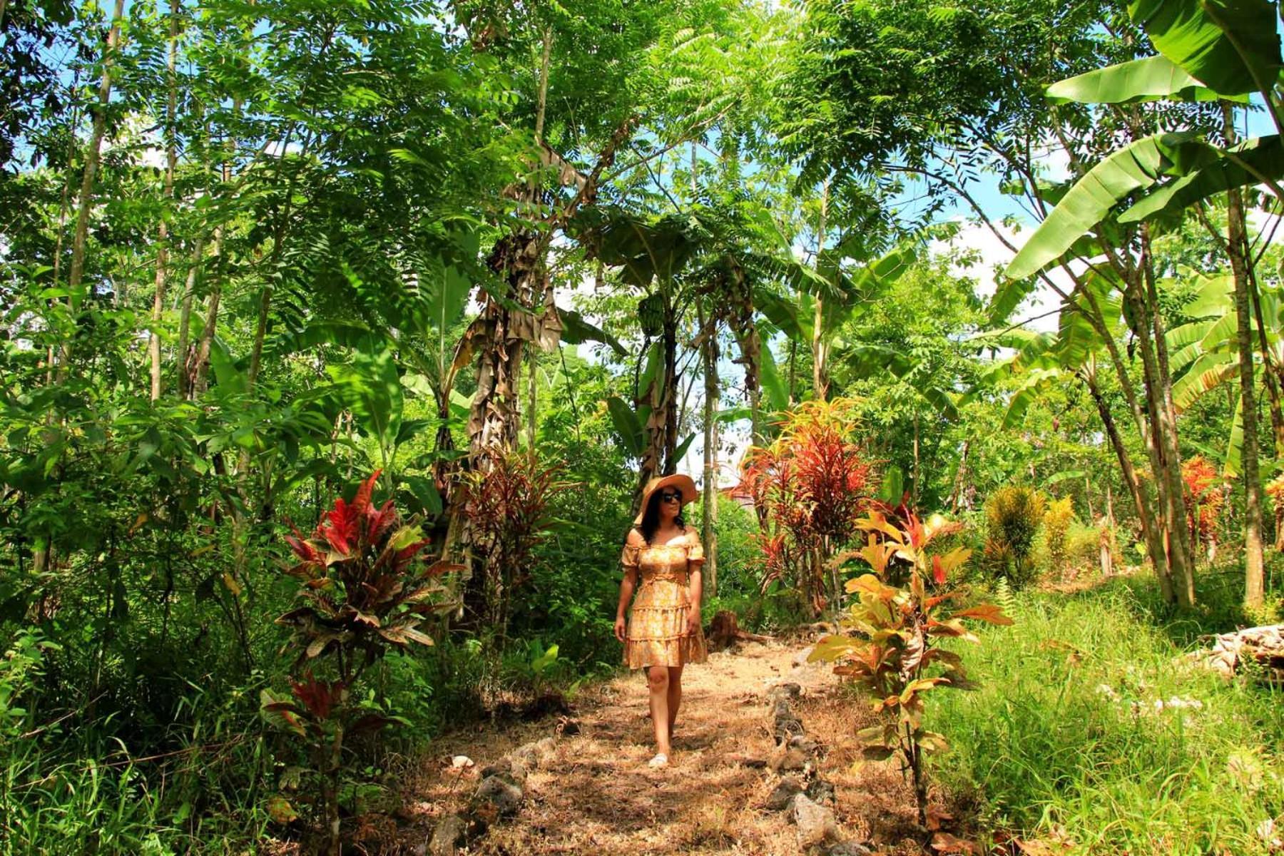 Natura Gardens Galapagos Bellavista  Buitenkant foto